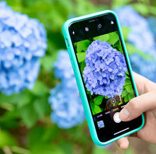 画像をギャラリービューアに読み込む, ever straight: Lake Green