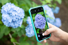 画像をギャラリービューアに読み込む, 大地に還る.... tidal green: 小麦から生まれた、生分解可能のiPhoneケース LOGO